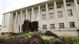 Visita à comarca de Leiria – edifícios afetados pela tempestade “Kristin”
