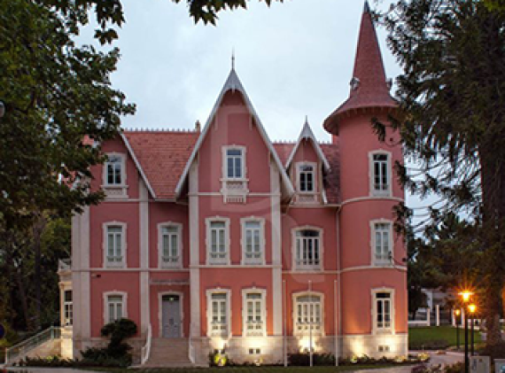 cmun alcobaca noticias leiria