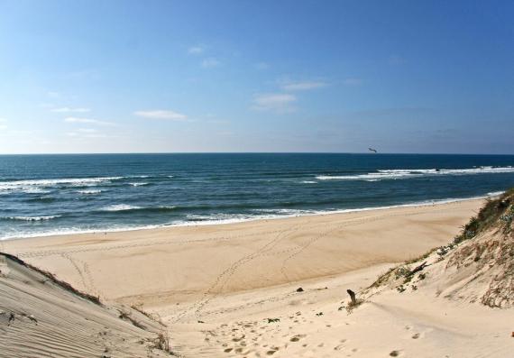 praia.vieira.leiria